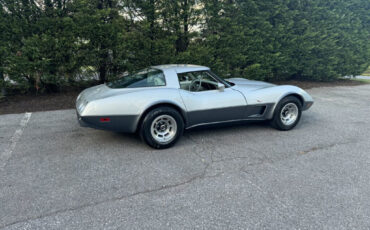 Chevrolet-Corvette-1978-11