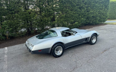 Chevrolet-Corvette-1978-12