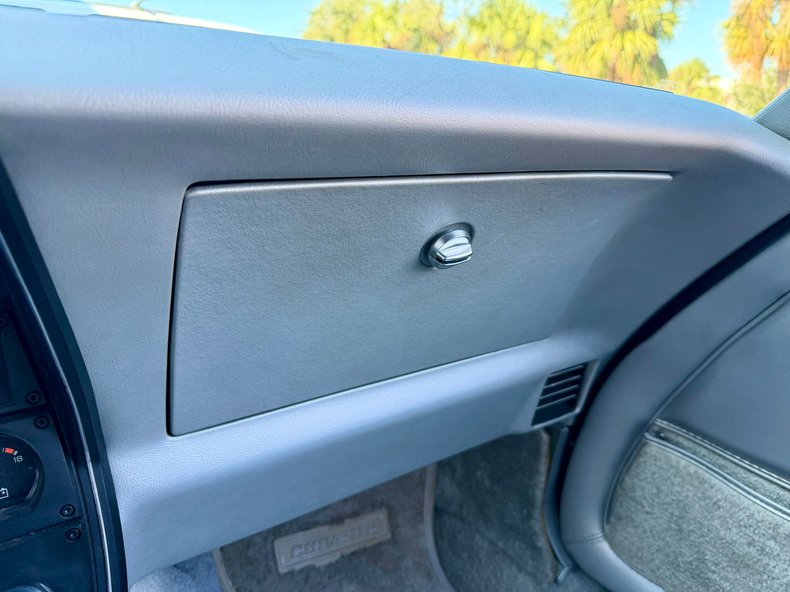 Chevrolet-Corvette-1978-Black-Silver-16