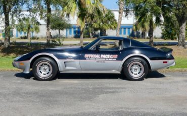 Chevrolet-Corvette-1978-Black-Silver-19