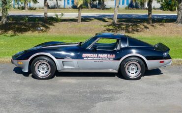 Chevrolet-Corvette-1978-Black-Silver-20