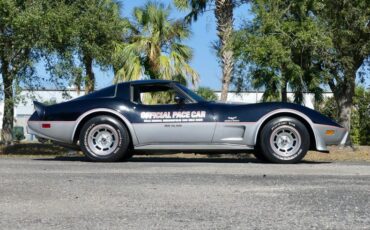 Chevrolet-Corvette-1978-Black-Silver-32
