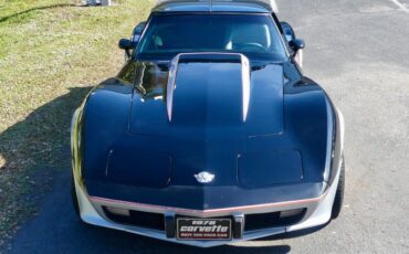 Chevrolet-Corvette-1978-Black-Silver-37