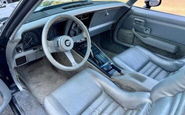 Chevrolet-Corvette-1978-Black-Silver-42