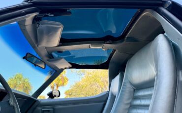 Chevrolet-Corvette-1978-Black-Silver-45