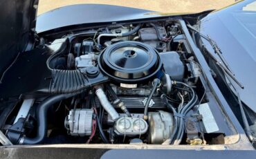 Chevrolet-Corvette-1978-Black-Silver-5