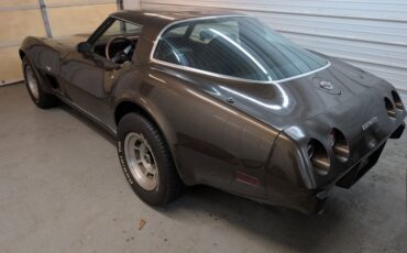 Chevrolet-Corvette-1978-Brown-Brown-2