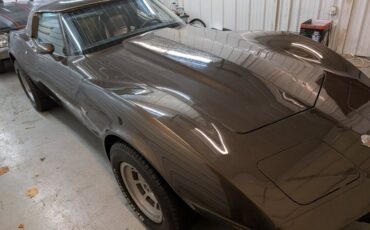 Chevrolet-Corvette-1978-Brown-Brown-4
