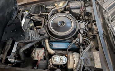 Chevrolet-Corvette-1978-Brown-Brown-8