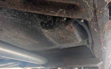 Chevrolet-Corvette-1978-Coupe-11