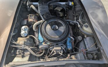 Chevrolet-Corvette-1978-Coupe-6