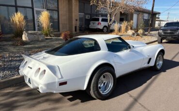 Chevrolet-Corvette-1979-18