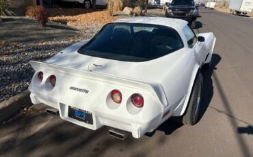 Chevrolet-Corvette-1979-19