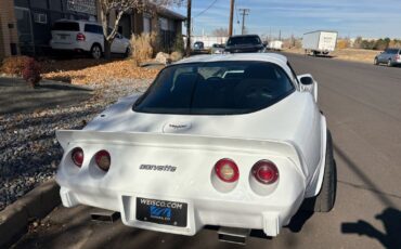 Chevrolet-Corvette-1979-20