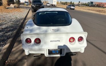 Chevrolet-Corvette-1979-21