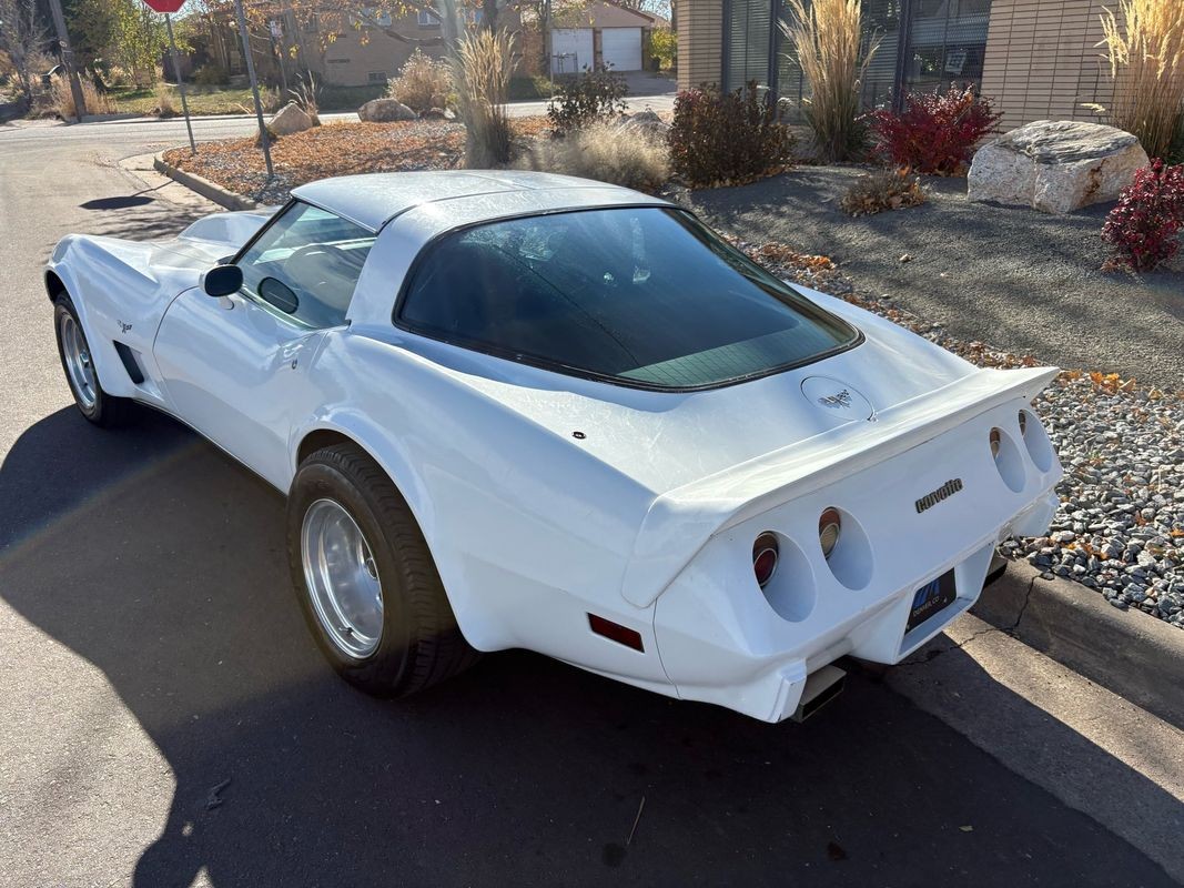 Chevrolet-Corvette-1979-27