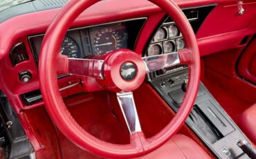 Chevrolet-Corvette-1979-Black-Red-34