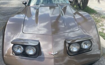 Chevrolet-Corvette-1979-Coupe-1