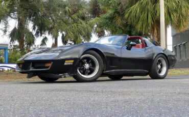 Chevrolet-Corvette-1979-Coupe-10