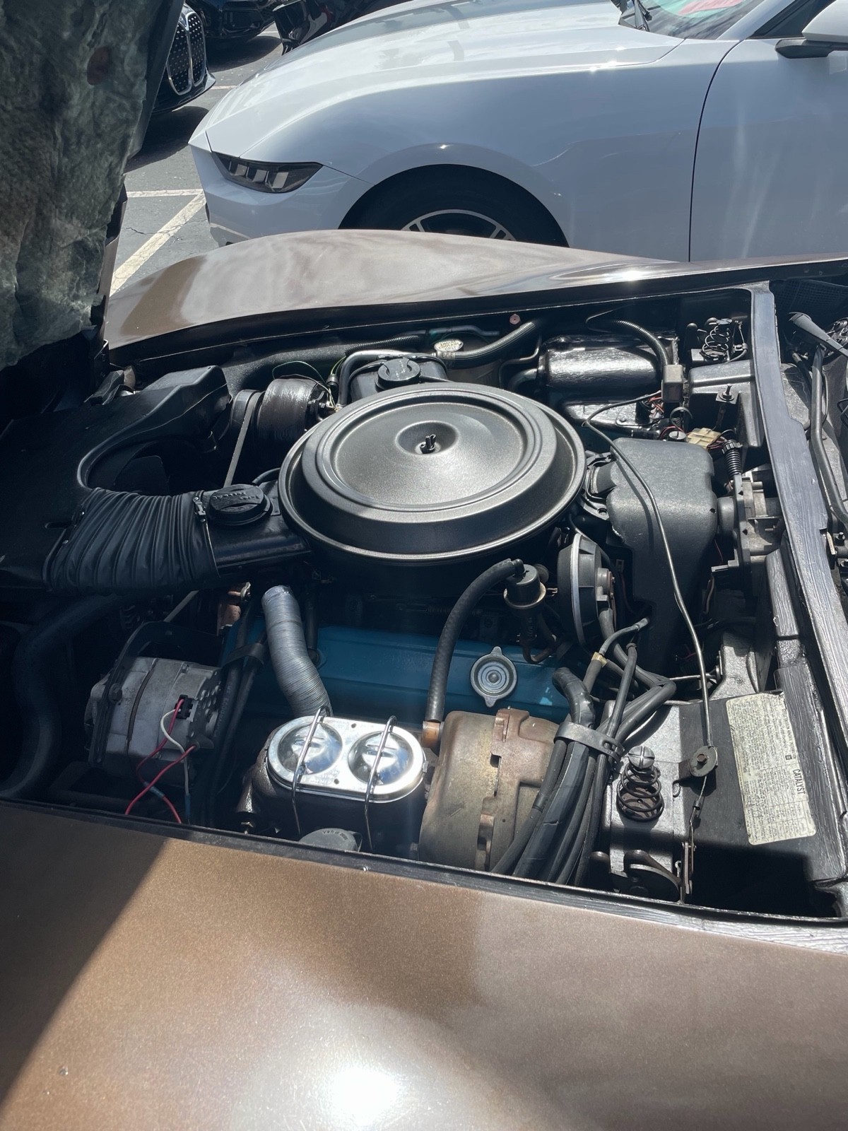 Chevrolet-Corvette-1979-Coupe-12