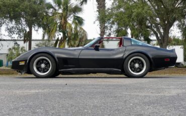 Chevrolet-Corvette-1979-Coupe-14