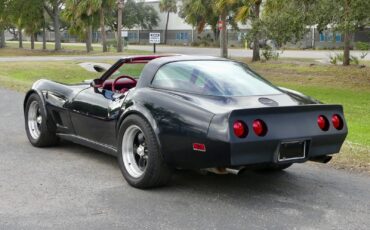 Chevrolet-Corvette-1979-Coupe-15