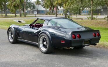 Chevrolet-Corvette-1979-Coupe-16