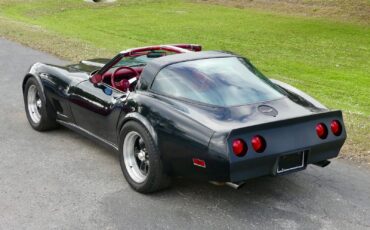 Chevrolet-Corvette-1979-Coupe-17
