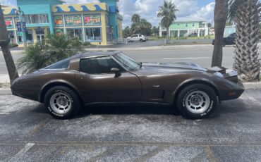 Chevrolet Corvette 1979 Coupe