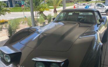 Chevrolet-Corvette-1979-Coupe-3