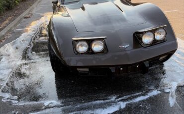 Chevrolet-Corvette-1979-Coupe-4