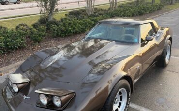 Chevrolet-Corvette-1979-Coupe-5