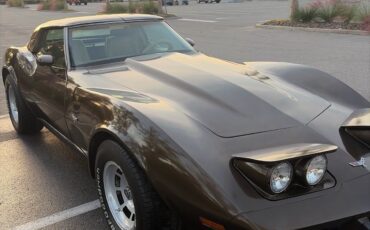 Chevrolet-Corvette-1979-Coupe-6