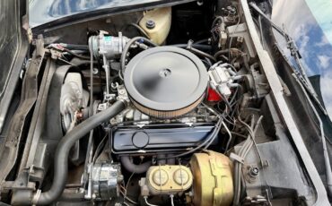 Chevrolet-Corvette-1979-Coupe-6