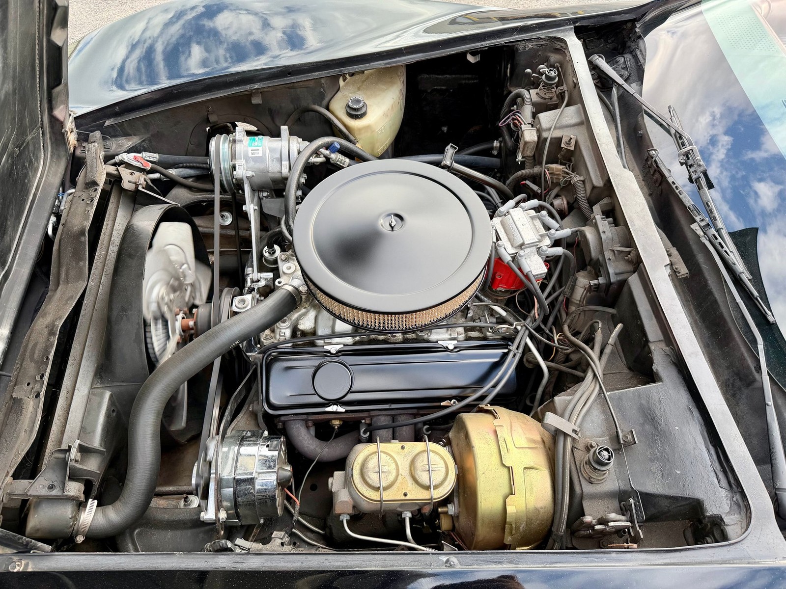 Chevrolet-Corvette-1979-Coupe-6