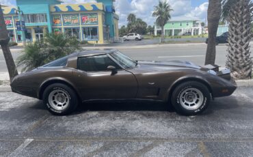 Chevrolet-Corvette-1979-Coupe-7