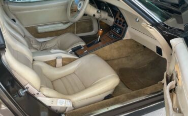 Chevrolet-Corvette-1979-Coupe-8