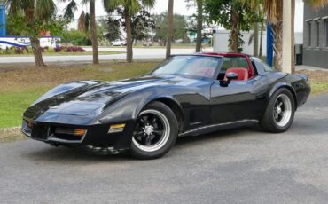 Chevrolet-Corvette-1979-Coupe-8