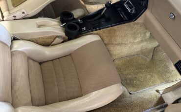 Chevrolet-Corvette-1980-11