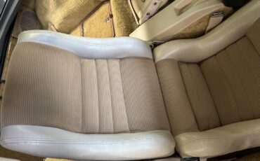 Chevrolet-Corvette-1980-12