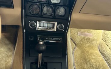 Chevrolet-Corvette-1980-15