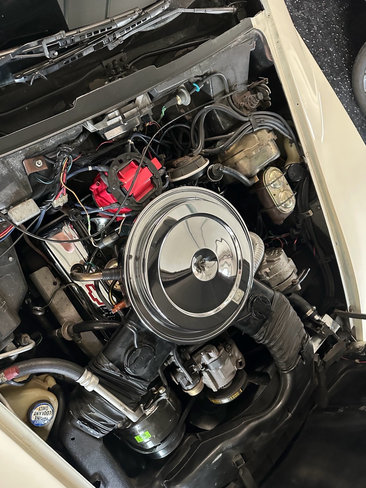 Chevrolet-Corvette-1980-17