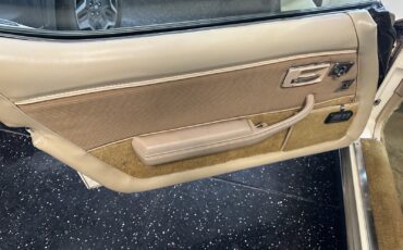 Chevrolet-Corvette-1980-6