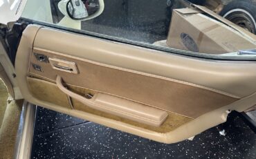 Chevrolet-Corvette-1980-9