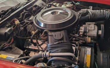 Chevrolet-Corvette-1980-Coupe-10