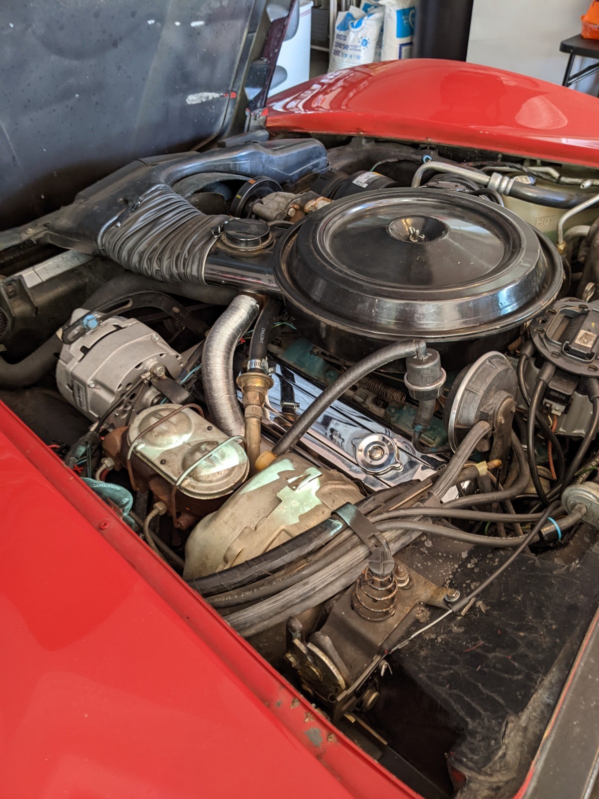 Chevrolet-Corvette-1980-Coupe-9