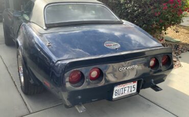 Chevrolet-Corvette-1981-Convertible-3