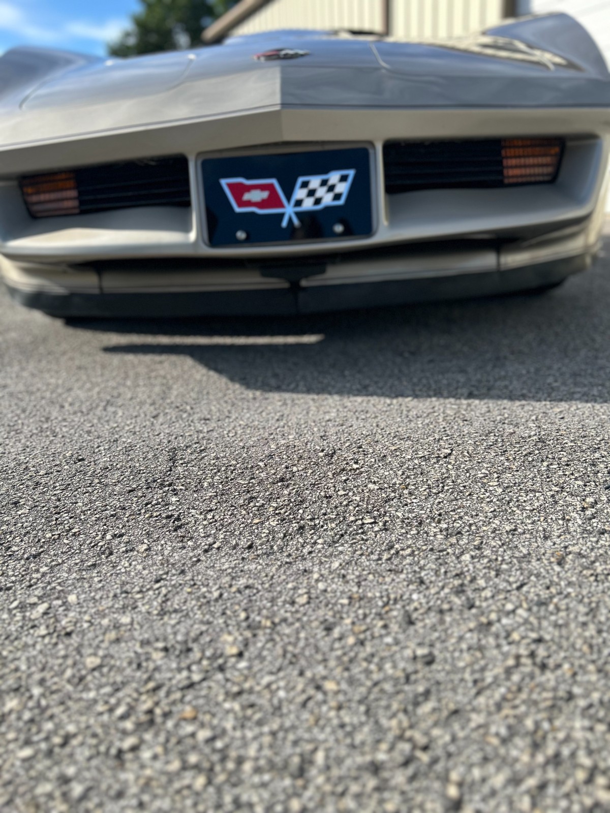 Chevrolet-Corvette-1982-Coupe-14