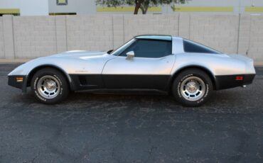 Chevrolet-Corvette-1982-Silver-Gray-1