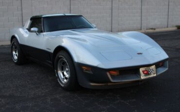 Chevrolet-Corvette-1982-Silver-Gray-2